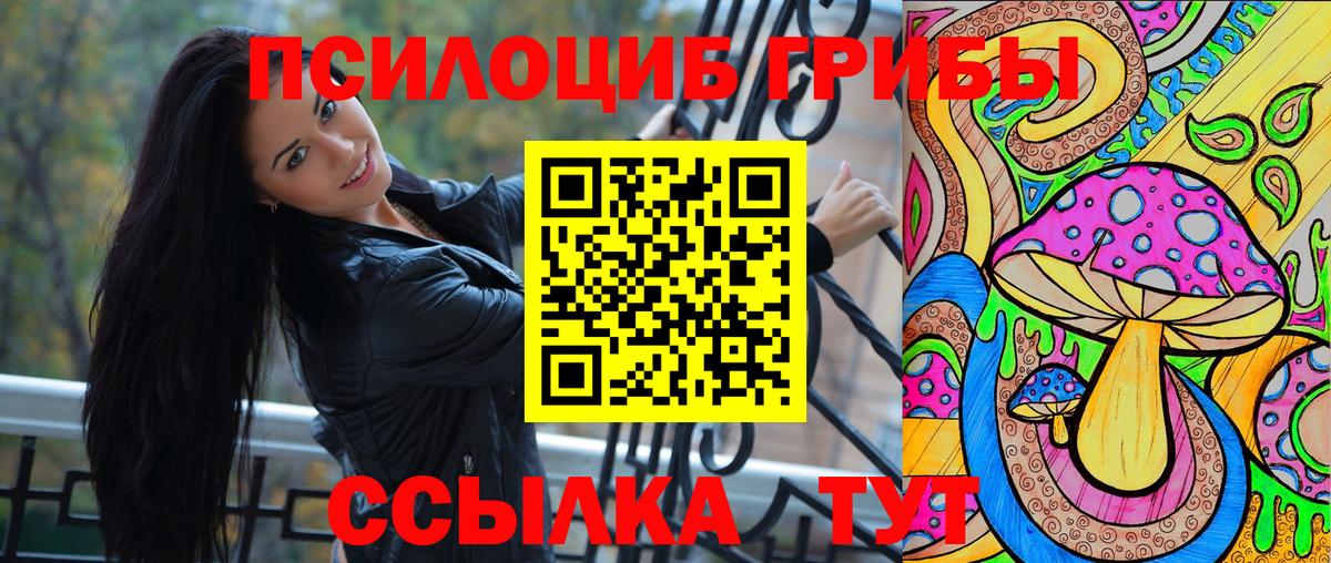Псилоцибиновые грибы прущие грибы Апшеронск